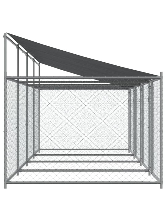 Narvas šunims su stogu ir durimis, pilkas, 8x2x2m, plienas