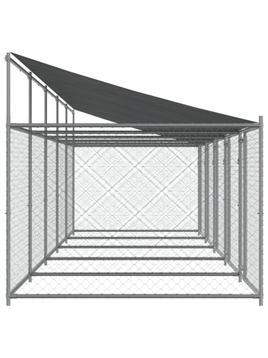 Narvas šunims su stogu ir durimis, pilkas, 10x2x2m, plienas