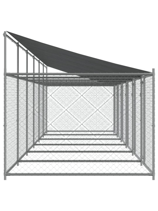 Narvas šunims su stogu ir durimis, pilkas, 12x2x2m, plienas