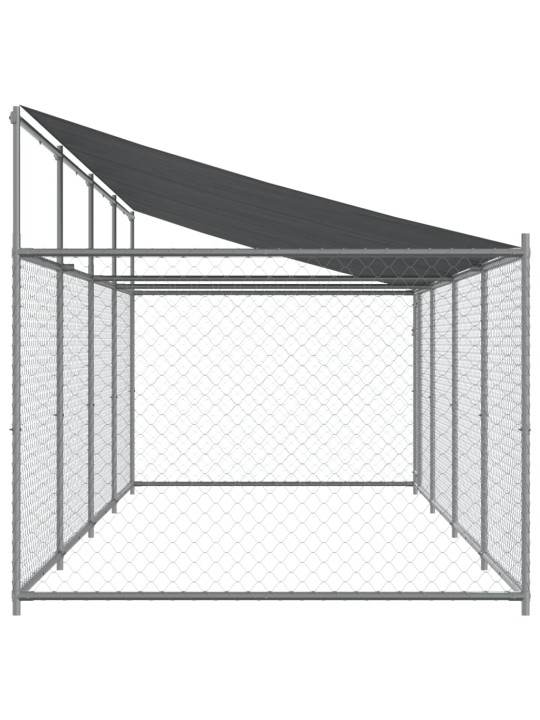 Narvas šunims su stogu ir durimis, pilkas, 8x2x2m, plienas