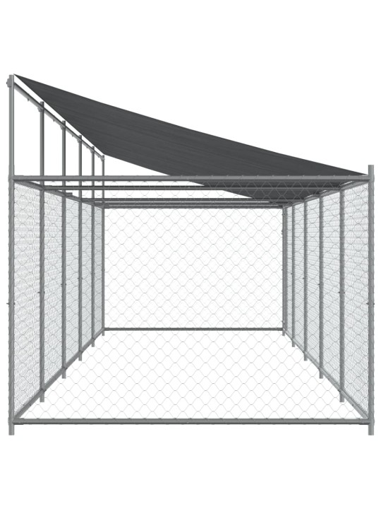 Narvas šunims su stogu ir durimis, pilkas, 10x2x2m, plienas