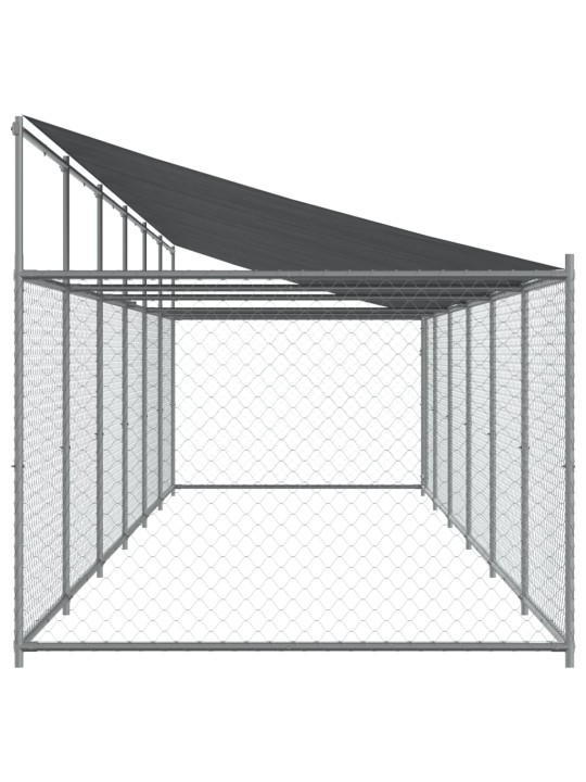 Narvas šunims su stogu ir durimis, pilkas, 12x2x2m, plienas