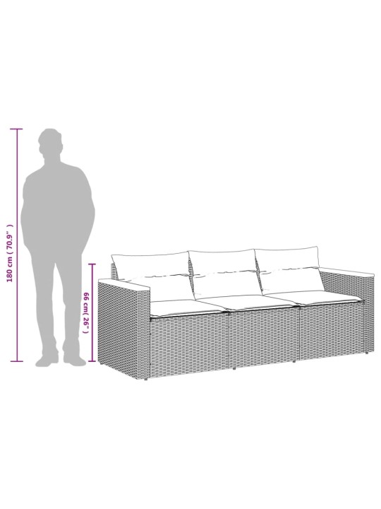 Trivietė sodo sofa su pagalvėlėmis, juodos spalvos, poliratanas