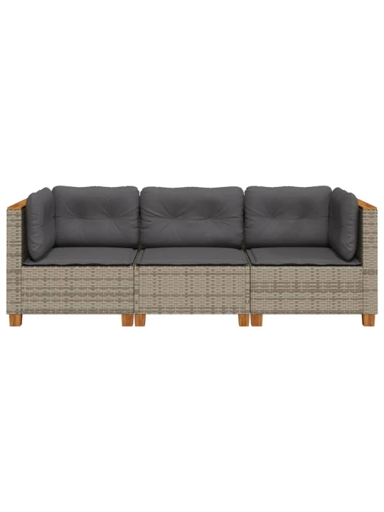 Trivietė sodo sofa su pagalvėlėmis, pilkos spalvos, poliratanas