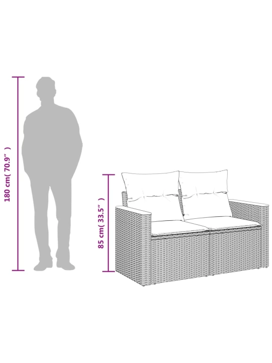 Dvivietė sodo sofa su pagalvėlėmis, smėlio spalvos, poliratanas