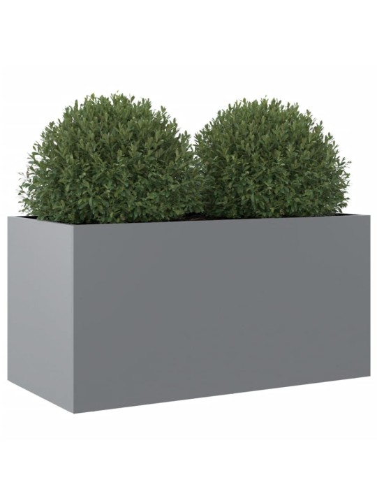 Lovelis, sidabrinės spalvos, 62x30x29cm, galvanizuotas plienas