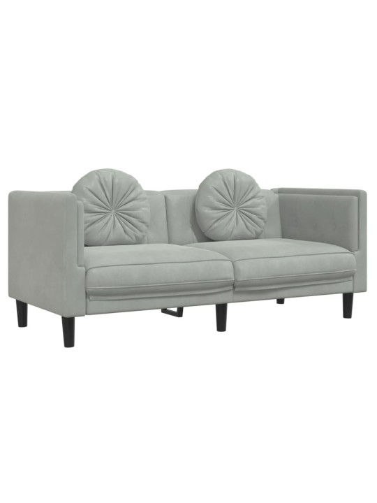 Dvivietė sofa su pagalvėlėmis, šviesiai pilkos spalvos, aksomas