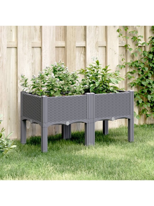 Sodo lovelis su kojomis, pilkos spalvos, 80x40x42cm, PP