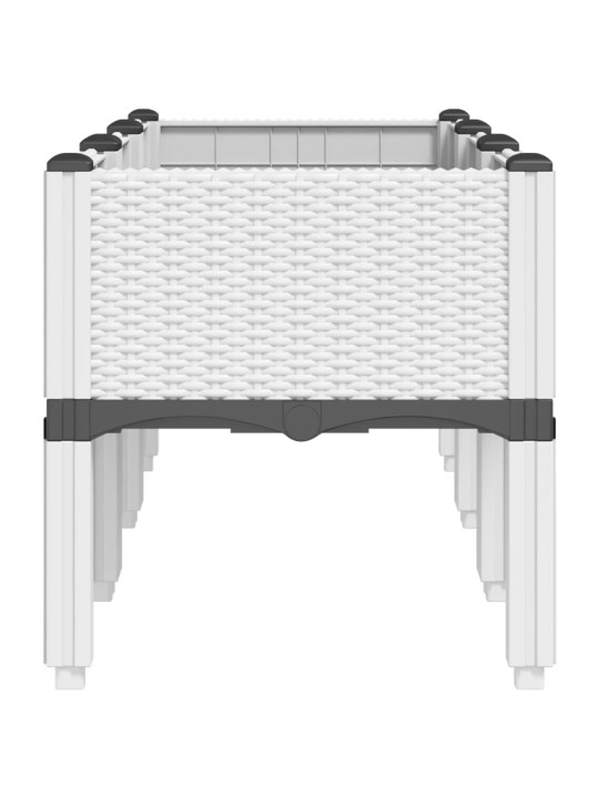 Sodo lovelis su kojomis, baltos spalvos, 120x40x42cm, PP