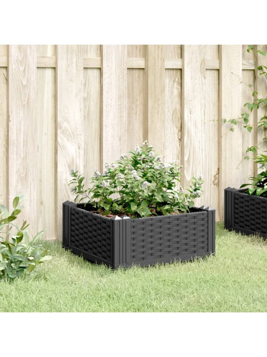 Sodo lovelis su kuoliukais, juodas, 42,5x42,5x28,5cm, PP