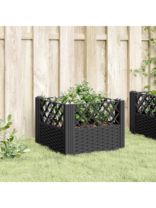Sodo lovelis su kuoliukais, juodas, 43,5x43,5x43,5cm, PP