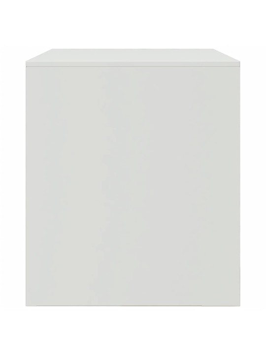 Televizoriaus spintelės, 2vnt., baltos, 67x39x44cm, plienas