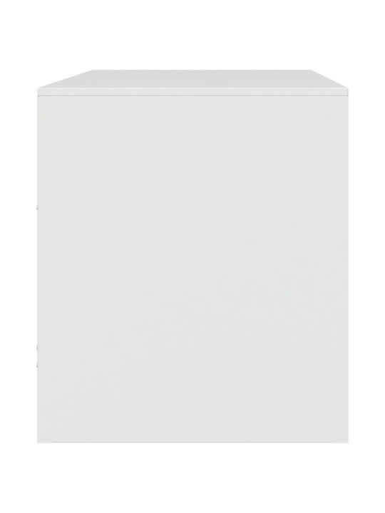 Televizoriaus spintelės, 2vnt., baltos, 67x39x44cm, plienas