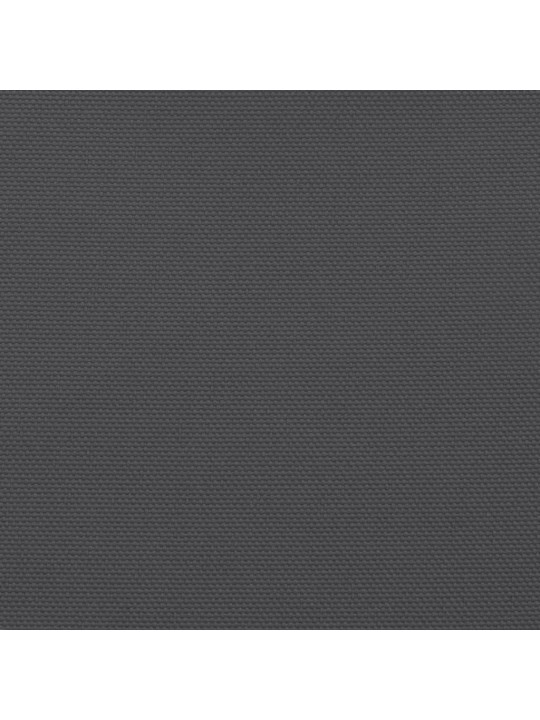 Burė nuo saulės, antracito, 2x2x2m, 100% oksfordo poliesteris