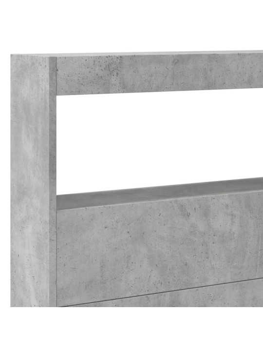 Galvūgalis-spintelė su LED, betono pilkos spalvos, 220x17x102cm