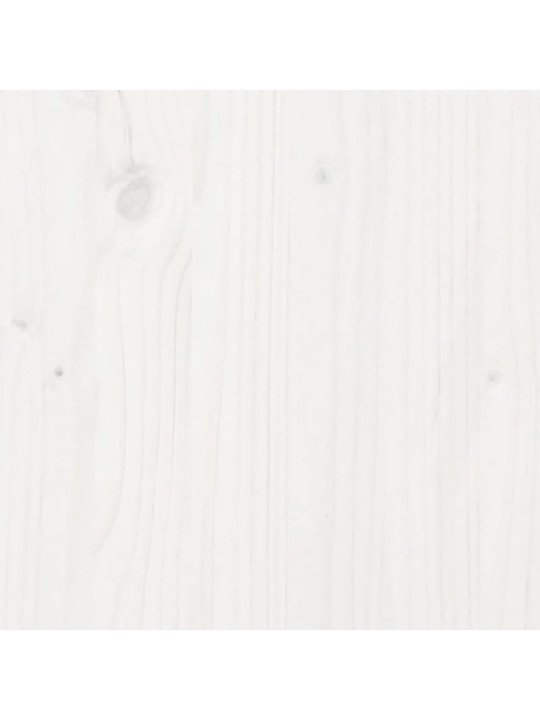 Sodo lovelis, baltas, 100x40x50cm, pušies medienos masyvas