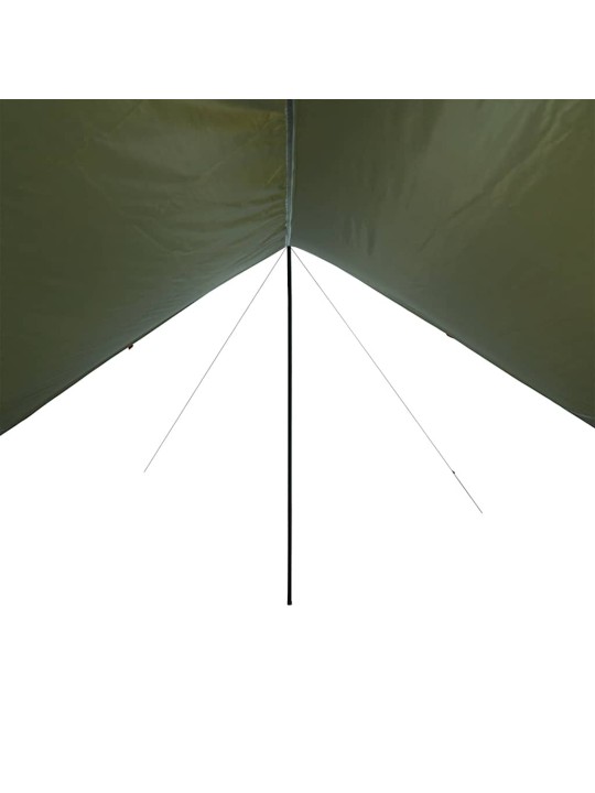 Stovyklavimo tentas, alyvuogių, 462x306x211cm