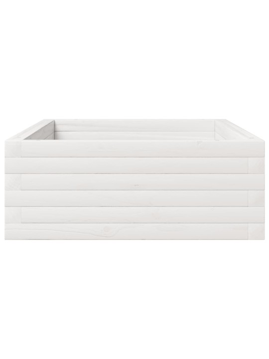 Sodo lovelis, baltas, 110x60x23cm, pušies medienos masyvas