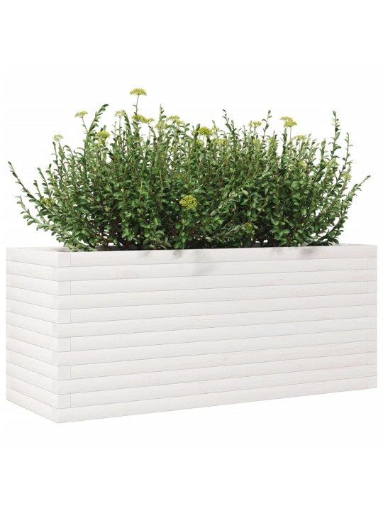 Sodo lovelis, baltas, 110x40x45,5cm, pušies medienos masyvas