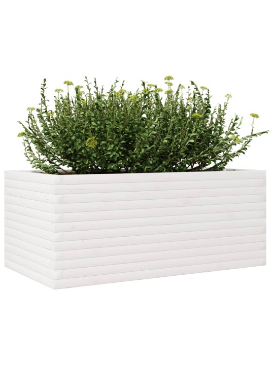 Sodo lovelis, baltas, 110x60x45,5cm, pušies medienos masyvas