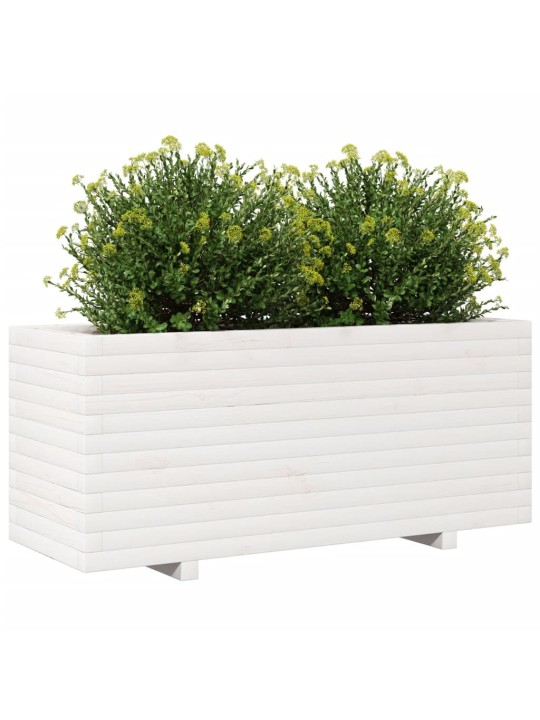 Sodo lovelis, baltas, 110x40x49,5cm, pušies medienos masyvas