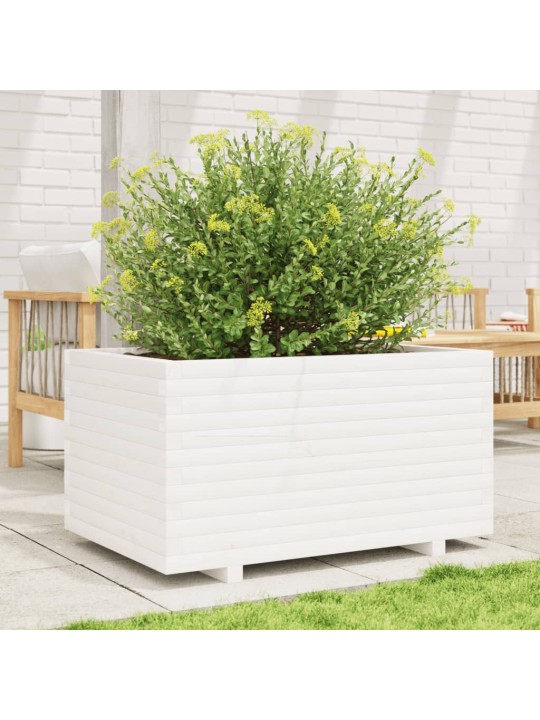 Sodo lovelis, baltas, 90x60x49,5cm, pušies medienos masyvas