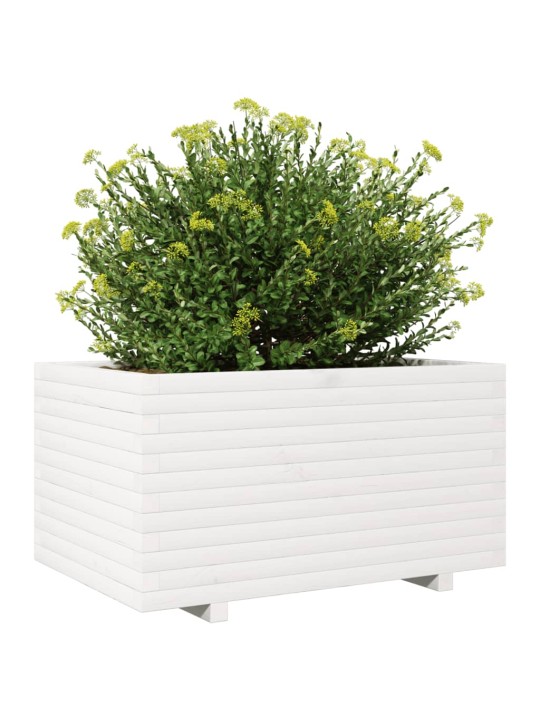 Sodo lovelis, baltas, 90x60x49,5cm, pušies medienos masyvas