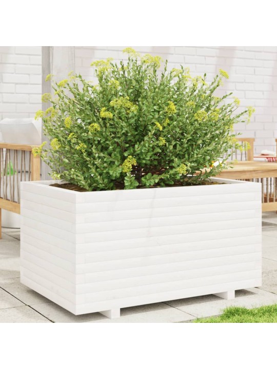 Sodo lovelis, baltas, 90x60x49,5cm, pušies medienos masyvas