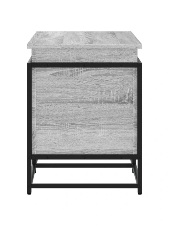 Daiktadėžė su dangčiu, pilka, 100x40x51,5cm, apdirbta mediena