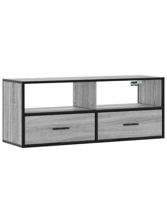 Televizoriaus spintelė, pilka, 100x31x39,5cm, mediena/metalas