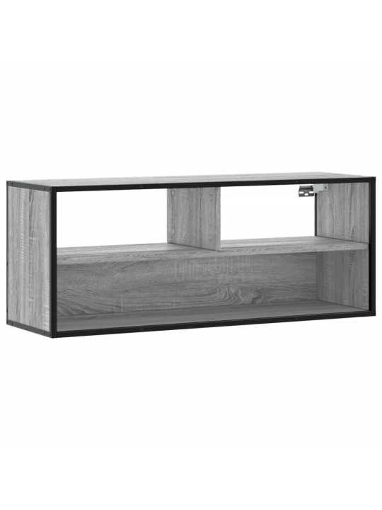 Televizoriaus spintelė, pilka, 100x31x39,5cm, mediena/metalas