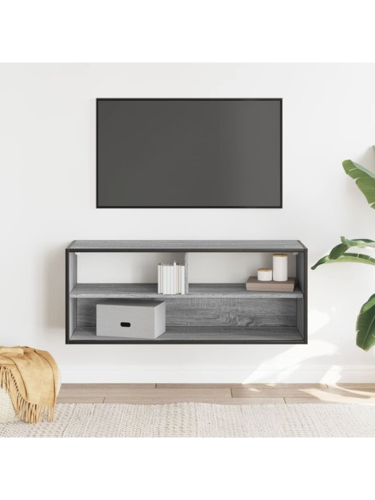 Televizoriaus spintelė, pilka, 100x31x39,5cm, mediena/metalas