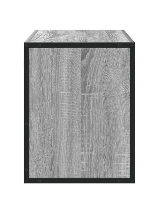 Televizoriaus spintelė, pilka, 100x31x39,5cm, mediena/metalas