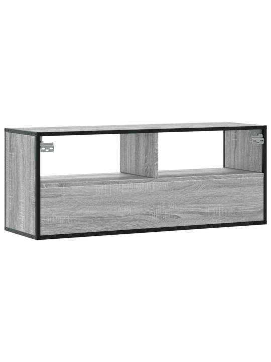 Televizoriaus spintelė, pilka, 100x31x39,5cm, mediena/metalas