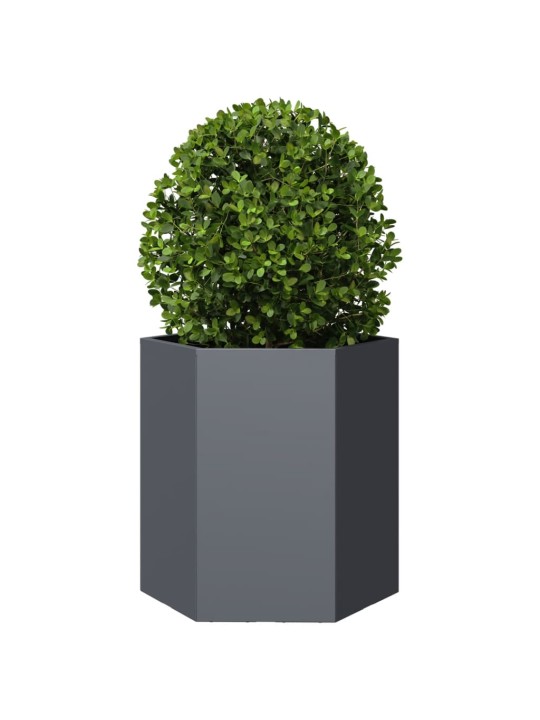 Sodo loveliai, 2vnt., antracito, 46x40x45cm, plienas