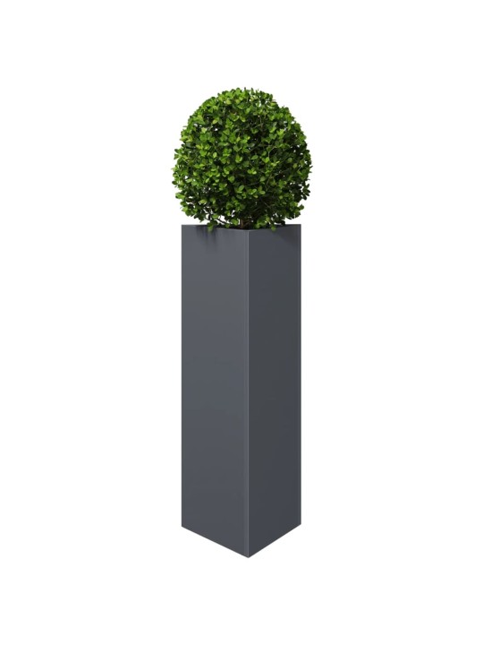 Sodo loveliai, 2vnt., antracito, 30x26x75cm, plienas